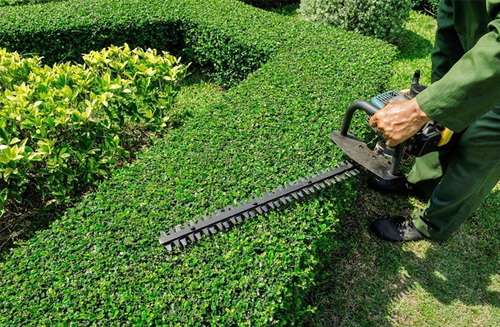 Gardening Services, Regular Garden Maintenance